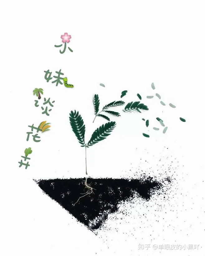 花卉的日常养护方法，15种室内常见花卉的养护要点，小编养花多年的经验，赶紧收藏吧