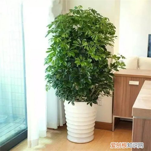 怎样才算楼梯对着大门，大门能对着楼梯吗