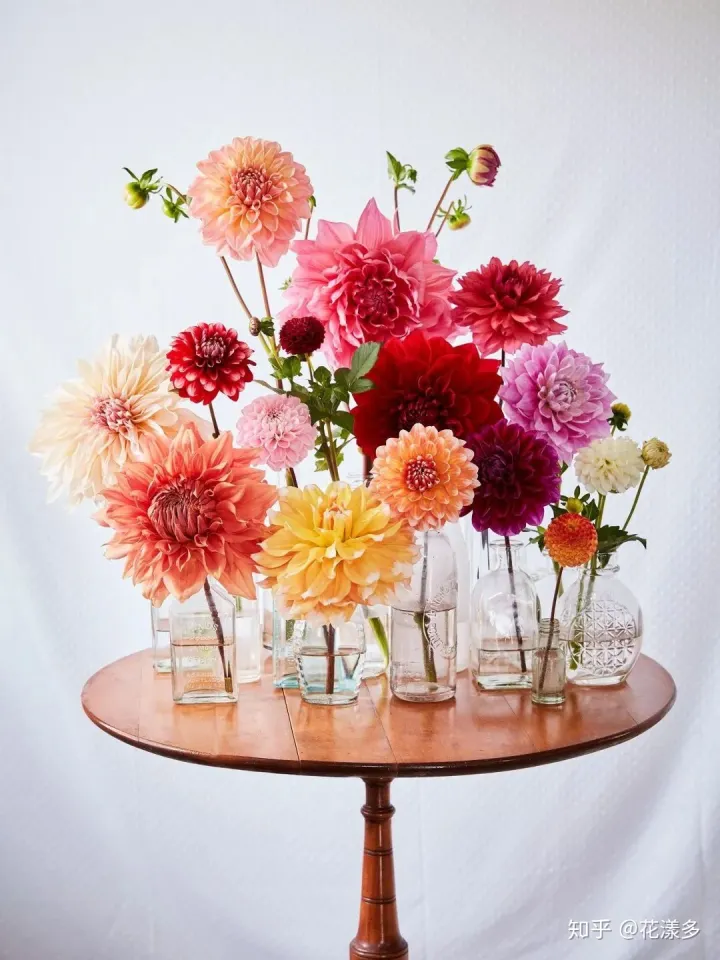 鲜花养护指南，爱花必收藏！常见鲜花的养护方法，轻松延长花期