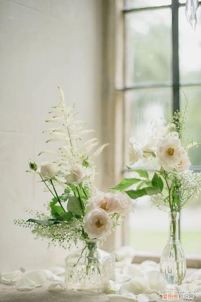 鲜花养护指南，爱花必收藏！常见鲜花的养护方法，轻松延长花期
