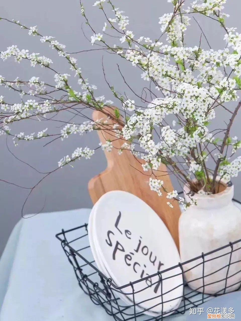 鲜花养护指南，爱花必收藏！常见鲜花的养护方法，轻松延长花期
