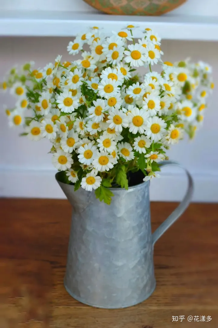 鲜花养护指南，爱花必收藏！常见鲜花的养护方法，轻松延长花期