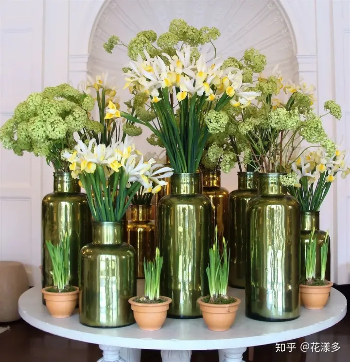 鲜花养护指南，爱花必收藏！常见鲜花的养护方法，轻松延长花期