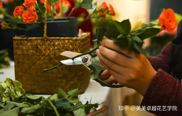 养鲜花需要注意什么，不同的鲜花应该怎样去养护？花艺师必修技巧