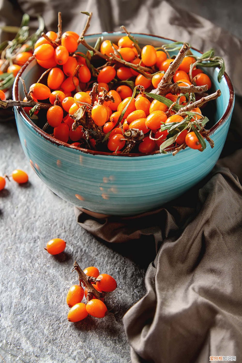 冬天果子挂枝头 此“果子”,冬天养一盆,果子结满枝,整个冬天不愁吃!