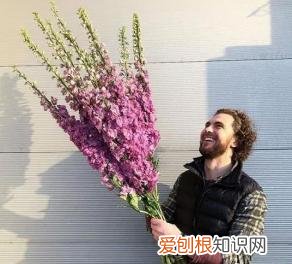 如何进行花材的处理和保鲜,常用花材养护方法,你都知道吗