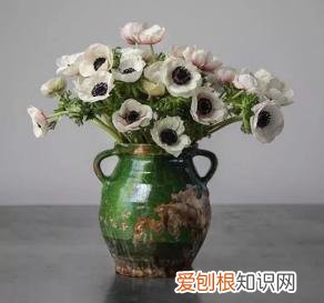 如何进行花材的处理和保鲜,常用花材养护方法,你都知道吗