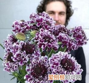 如何进行花材的处理和保鲜,常用花材养护方法,你都知道吗