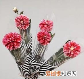 如何进行花材的处理和保鲜,常用花材养护方法,你都知道吗