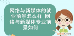 网络与新媒体就业方向，网络与新媒体的就业方向是什么