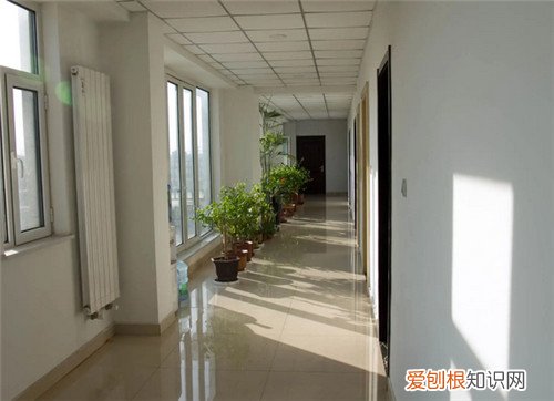 楼道灯费国家规定是怎样的,楼道灯费 国家规定