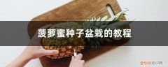 菠萝蜜种子盆栽的教程图解 菠萝蜜种子盆栽的教程