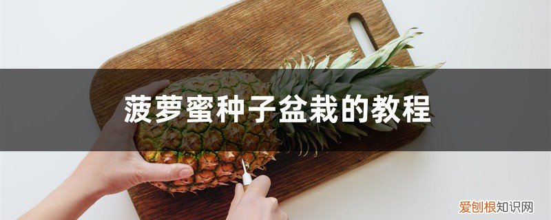 菠萝蜜种子盆栽的教程图解 菠萝蜜种子盆栽的教程