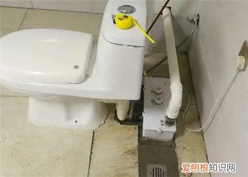 新装的马桶需要等多久可以用，新装的马桶需要等多久可以用了