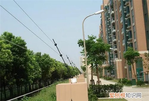 小区为啥不接国家电网，小区的电可以用国家电网的电不