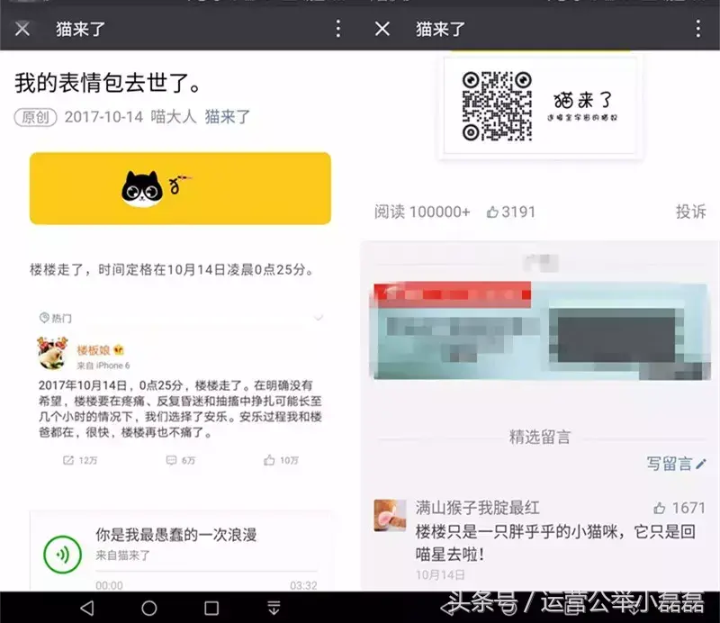 宠物自媒体策划,2年50万铲屎官关注,宠物类自媒体如何运营?专访丨猫来了