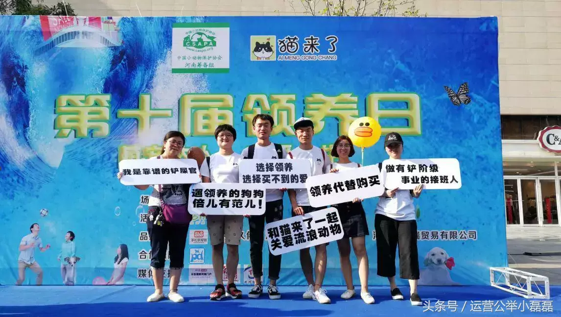 宠物自媒体策划,2年50万铲屎官关注,宠物类自媒体如何运营?专访丨猫来了