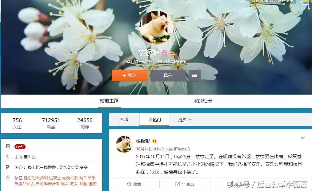 宠物自媒体策划,2年50万铲屎官关注,宠物类自媒体如何运营?专访丨猫来了