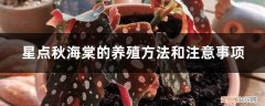 银星秋海棠适合在室内养吗 星点秋海棠的养殖方法和注意事项