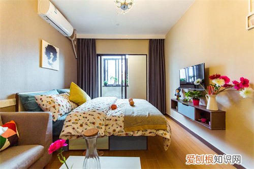 深圳湾一号是公寓还是住宅，深圳湾一号和深圳湾公馆有啥区别