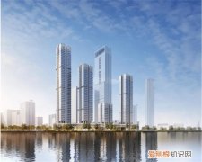 深圳湾一号是公寓还是住宅，深圳湾一号和深圳湾公馆有啥区别