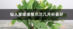 仙人掌嫁接蟹爪兰什么时候合适 仙人掌嫁接蟹爪兰几月份最好