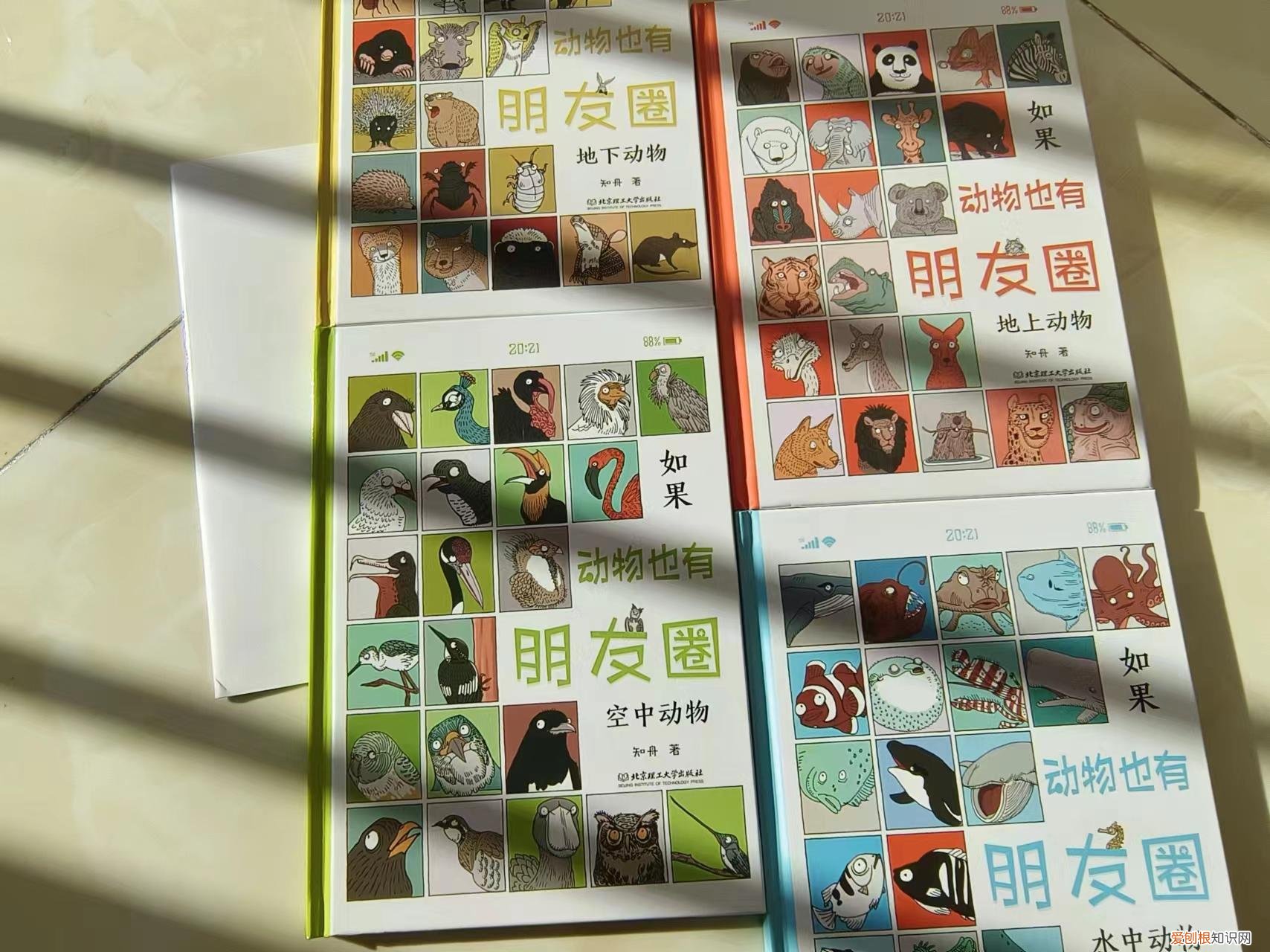 动物笑谈笔记小红书,笑看动物江湖,有趣的动物科普