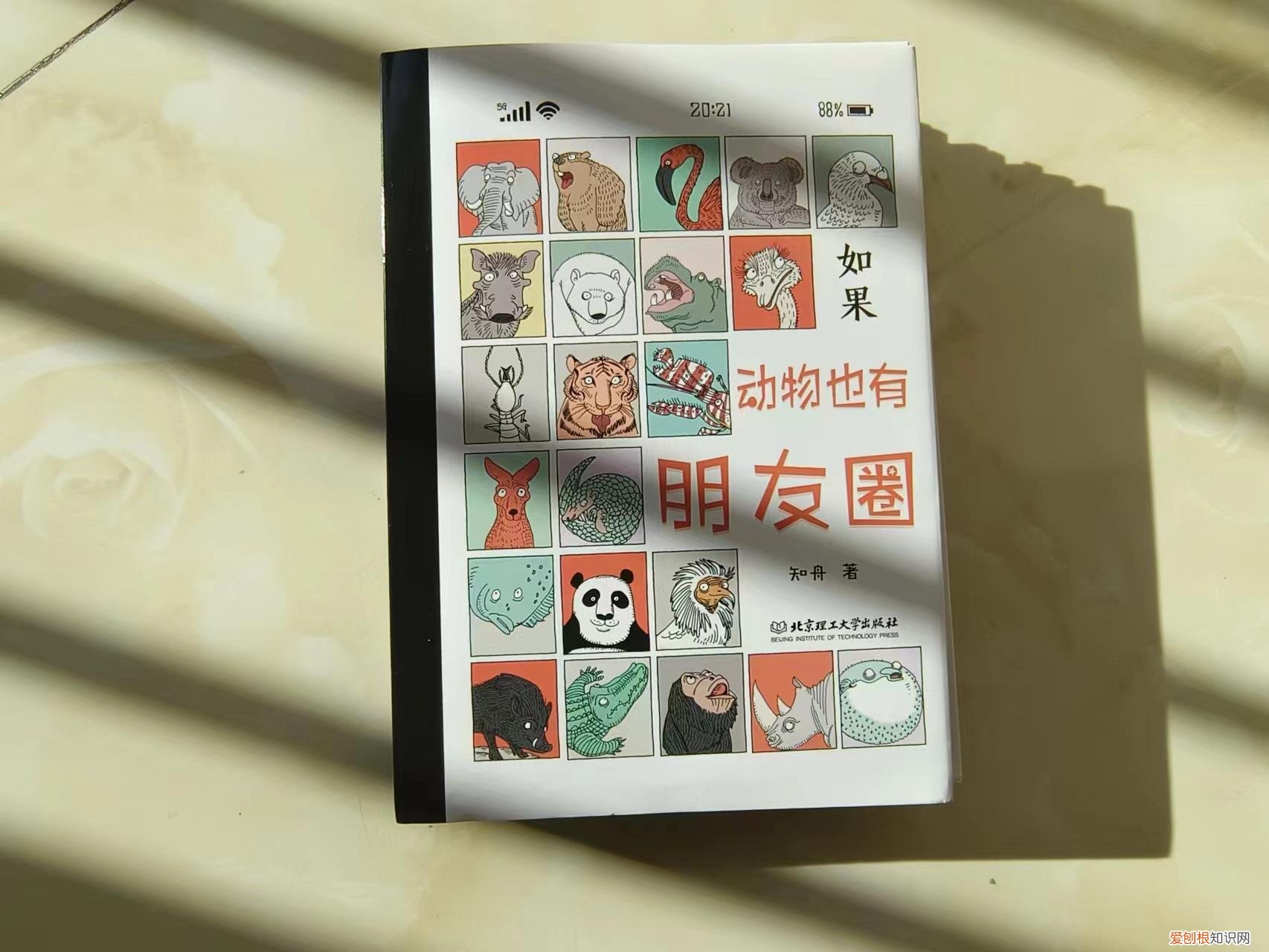 动物笑谈笔记小红书,笑看动物江湖,有趣的动物科普