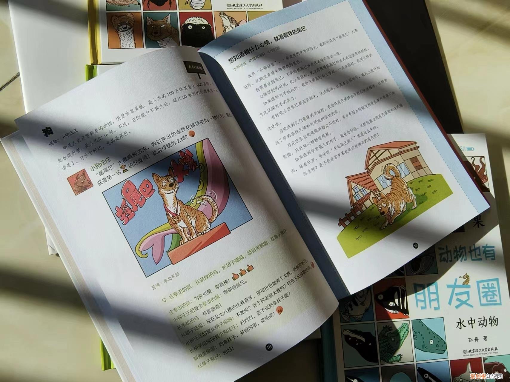 动物笑谈笔记小红书,笑看动物江湖,有趣的动物科普