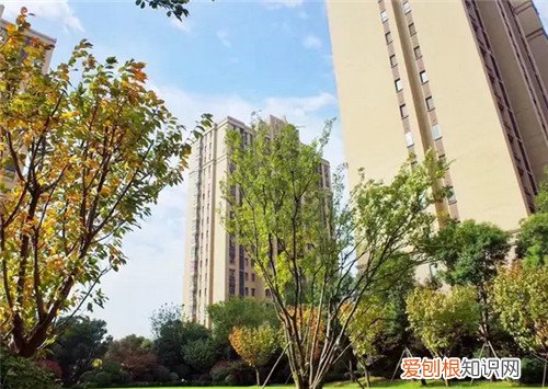 买中海的房子都是什么人，中海地产的房子能买吗