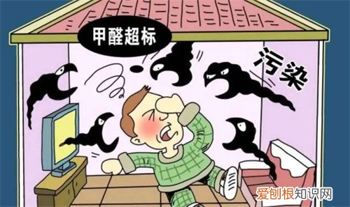 爱卫士除甲醛是正规公司吗，除醛卫士怎么样