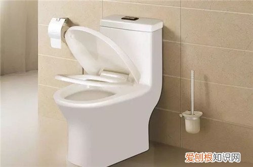马桶怎么擦屁股,马桶怎么擦屁股才干净