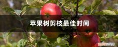 请问苹果树什么时间剪最好 苹果树剪枝最佳时间