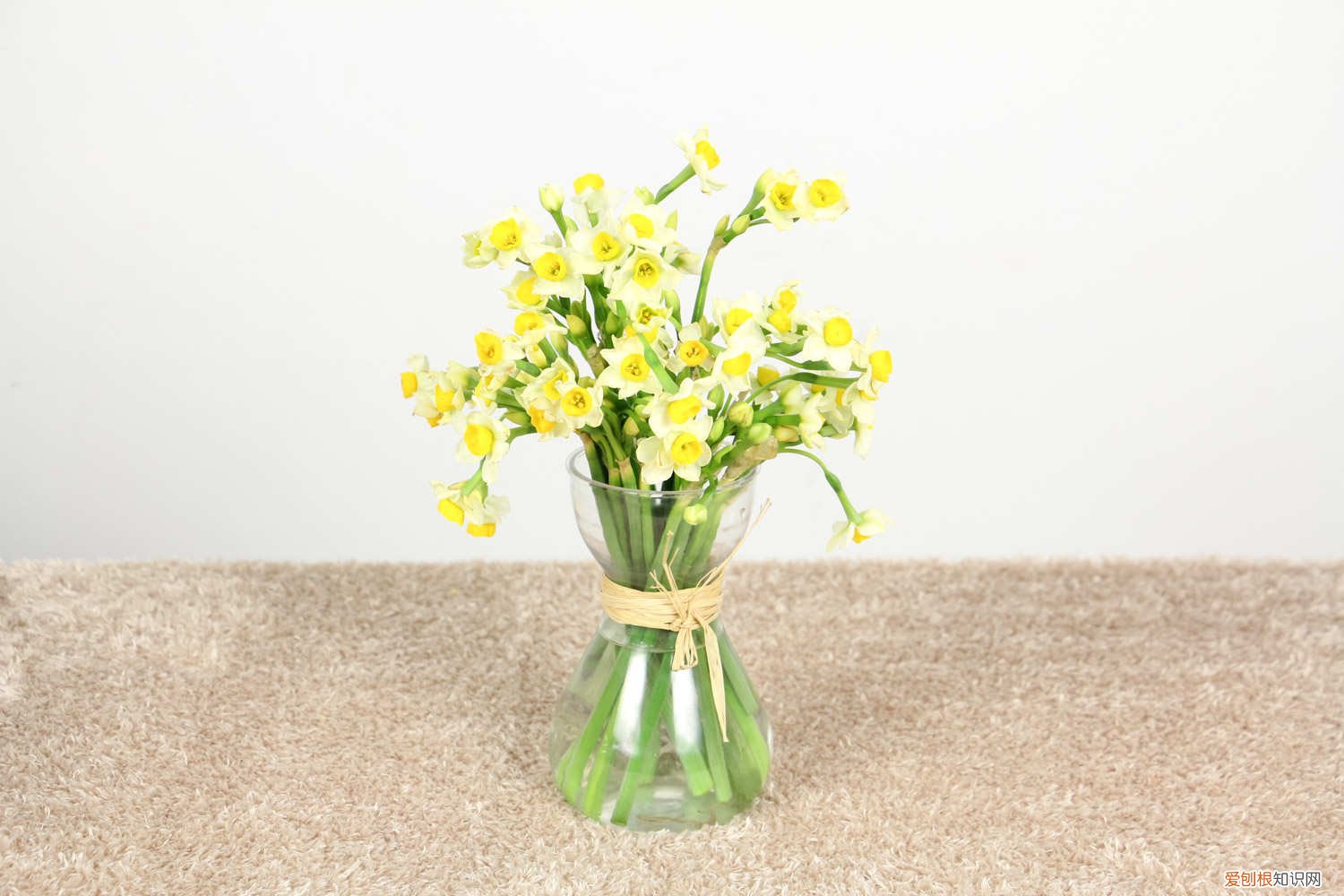 水仙怎样种植方法 水仙怎么种植