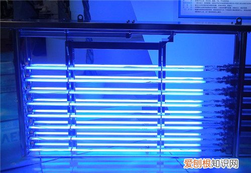 臭氧灭菌灯适合消毒什么,臭氧灭菌灯适合消毒什么东西