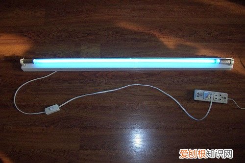 臭氧灭菌灯适合消毒什么,臭氧灭菌灯适合消毒什么东西