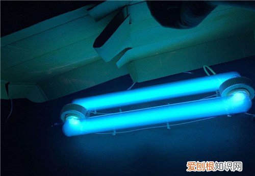 臭氧灭菌灯适合消毒什么,臭氧灭菌灯适合消毒什么东西