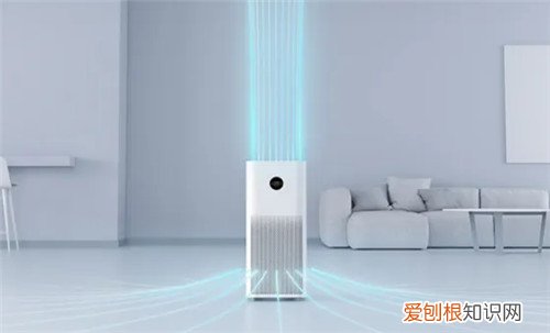 如何除甲醛,室内除甲醛最好的办法