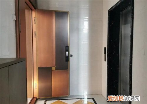 电梯入户是什么样的，电梯入户是什么样的 效果图