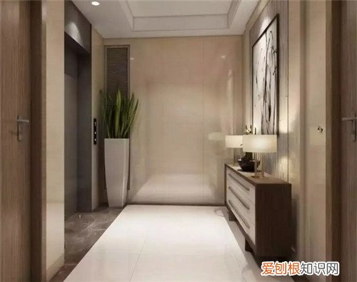 电梯入户是什么样的，电梯入户是什么样的 效果图