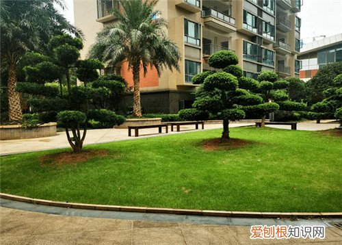 6层楼高多少米,6层楼高多少米噪音