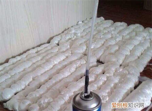 发泡胶防水吗，发泡胶防水吗有甲醛吗