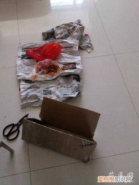 茶花的养殖方法? 茶花养殖经验分享