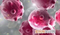 感冒病毒有药物杀灭吗 感冒药主要是消灭病毒吗