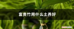 富贵竹用什么土栽培 富贵竹用什么土养好
