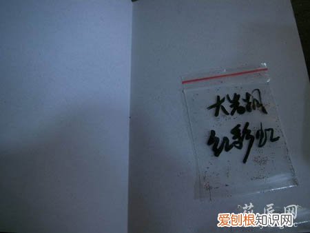 图文 大岩桐如何播种呢?(大岩桐怎样播种)