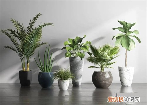 甲醛检测仪测量准确吗，甲醛检测仪测量准确吗