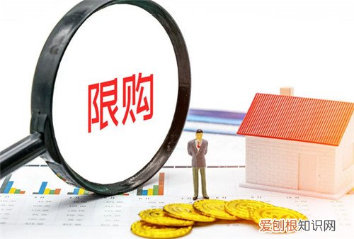 杭州限购政策是怎样的，杭州有限购政策吗