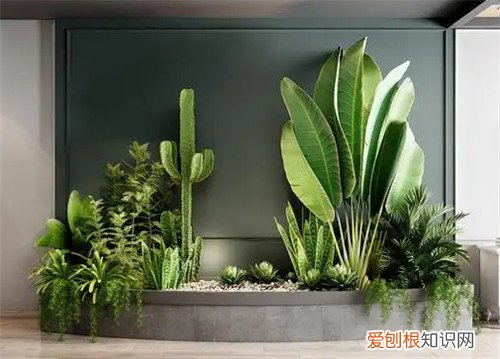 甲醛治理公司真的是可以治甲醛的吗，除甲醛公司治理甲醛有用吗