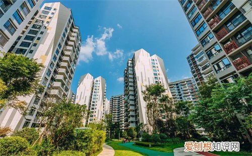 海南安居房申请条件有哪些，海南申请安居房的条件